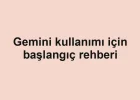 Gemini kullanımı için başlangıç rehberi