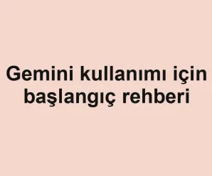 Gemini kullanımı için başlangıç rehberi