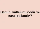 Gemini kullanımı nedir ve nasıl kullanılır?