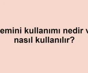 Gemini kullanımı nedir ve nasıl kullanılır?
