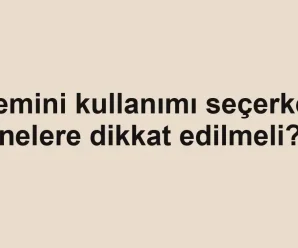 Gemini kullanımı seçerken nelere dikkat edilmeli?