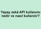Yapay zekâ API kullanımı nedir ve nasıl kullanılır?