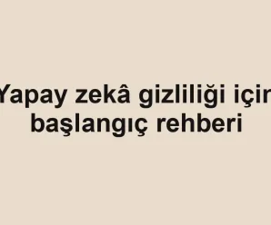 Yapay zekâ gizliliği için başlangıç rehberi