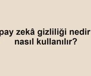 Yapay zekâ gizliliği nedir ve nasıl kullanılır?