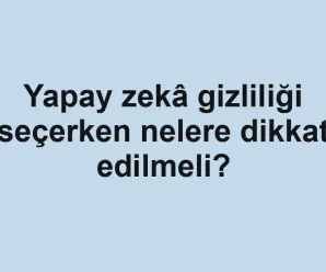 Yapay zekâ gizliliği seçerken nelere dikkat edilmeli?